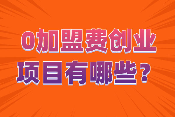 0麻豆视频APP费创业项目有哪些？.jpg